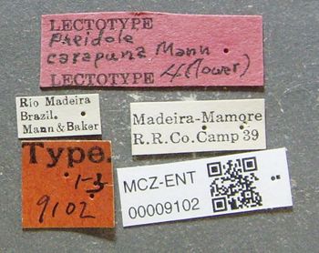 Media type: image;   Entomology 9102 Aspect: labels